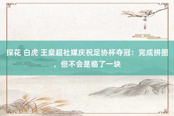 探花 白虎 王燊超社媒庆祝足协杯夺冠：完成拼图，但不会是临了一块